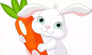 兔兔能吃暑片吗 还是胡萝卜好