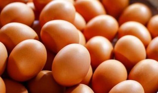 如何挑选激素鸡蛋 怎么挑选新鲜鸡蛋