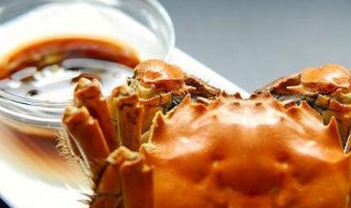 螃蟹蘸料汁的做法大全 美味蘸料做出来