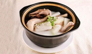 冬瓜老鸭汤的功效和作用 鸭肉禁忌