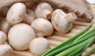 家里种蘑菇的危害 对健康有害吗