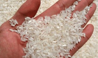 米饭的最简单制作方法 最简单米饭的做法