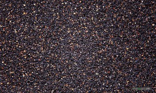 黑芝麻盐制作方法 黑芝麻盐制作方法介绍