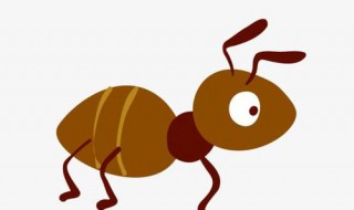 关于蚂蚁的短语 描写蚂蚁的句子