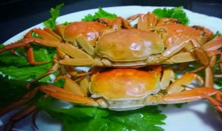 水煮螃蟹的做法和步骤窍门 水煮螃蟹的做法和步骤窍门简述