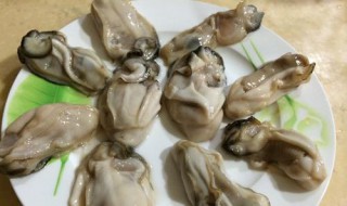 清蒸牡蛎肉制作方法 清蒸牡蛎肉的制作方法步骤