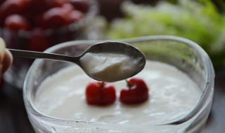 酸奶怎么做好吃又简单 好吃又简单的酸奶做法介绍