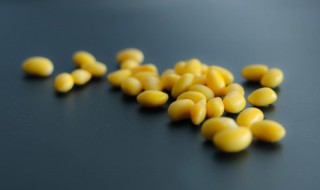 黄豆的腌制方法 黄豆的腌制方法简述