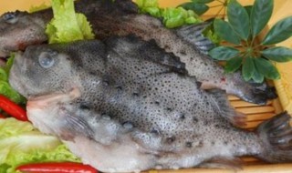 海参斑鱼的烹饪方法 海参斑鱼的做法