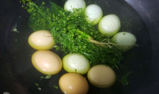 三月三荠菜煮鸡蛋的功效与作用 三月三荠菜煮鸡蛋的功效及作用