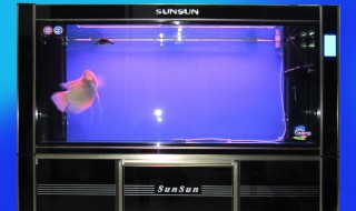 怎么才能把森森鱼缸显示屏关掉 如何才能把森森鱼缸显示屏关掉