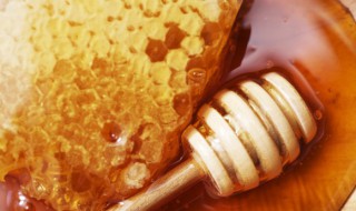用蜂蜜直接抹到脸上会有什么效果 用蜂蜜直接抹到脸上的效果