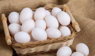 鸽子蛋和鸡蛋营养对比 鸽子蛋和鸡蛋哪个营养好