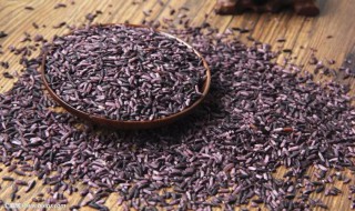 紫米有什么营养 紫米的营养价值有哪些