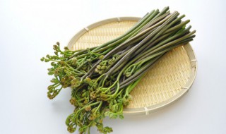 蕨菜的吃法和做法 蕨菜怎么吃法