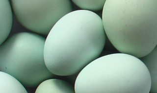 绿皮鸡蛋是什么品种鸡 绿皮鸡蛋简介