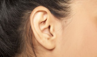 耳朵的拼音怎么写 耳朵的拼音