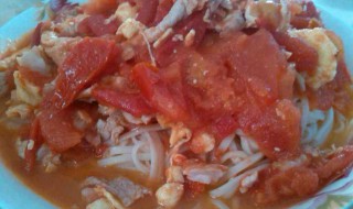 西红柿煮面条的做法 西红柿煮面条好吃做法