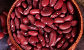 红芸豆的做法大全 红芸豆的烹饪方法