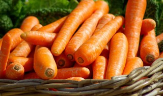 胡萝卜十六种做法 胡萝卜16种最佳食用方法介绍