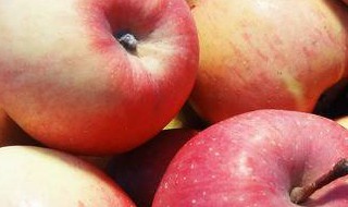 三色苹果做法图解 你学会了吗