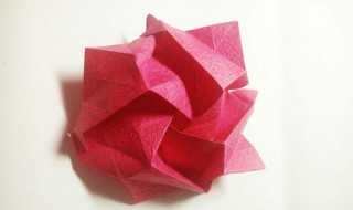 玫瑰花折纸教程图解 简易玫瑰花教程