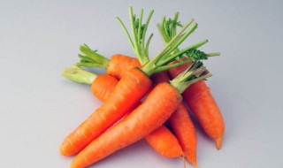 一根胡萝卜的热量 蛋白质含量是多少