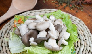 平蘑怎么做好吃 椒盐平菇怎么做
