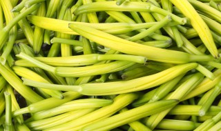 黄花菜的根有什么作用 黄花菜根的功效和好处