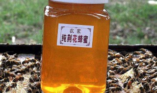 荆花蜂蜜的功效与作用 作用多多