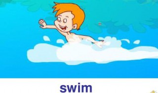 swim的过去式是什么 swim的意思有哪些