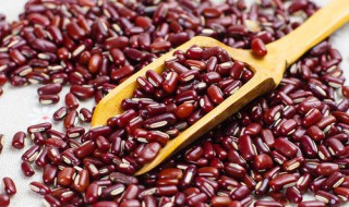 赤小豆与红腰豆的区别 形态营养不同