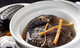乌龟的做法及食用方法 土茯苓煲龟汤