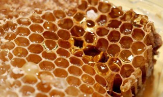 蜂蜜会坏吗 蜂蜜会变质吗