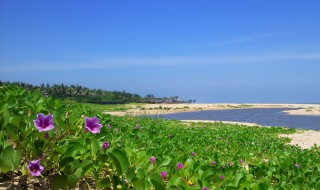 海口是几线城市 荣誉见证了这座城市的变化