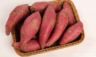 红薯冬天保存方法 红薯冬天怎么保存