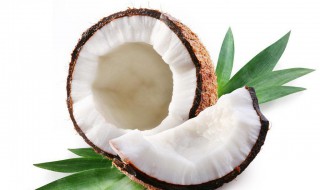 椰子粉的功效与作用及食用方法 椰子粉有什么好处