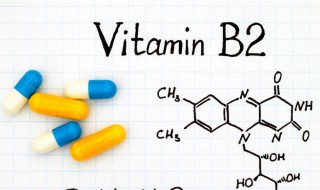 vb2的功效与作用用量 维生素b2的功效是什么