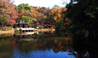 栖霞山免门票时间 关于栖霞山的介绍