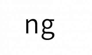 ng代表什么意思 写出它全部代表的意思