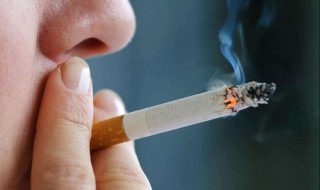 一根烟的危害有多大 抽一根烟对人体的危害有多大