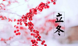 立冬以后是什么节气 中国传统节日