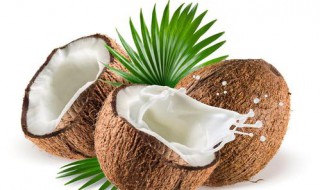 新鲜椰子怎么打开 怎么打开椰子