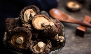 香菇根能吃吗 香菇的根怎么吃
