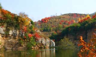 禹州鸠山红叶地址 禹州鸠山红叶的地址