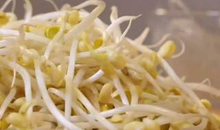 黄豆芽怎么做汤 黄豆芽汤的制作步骤详解