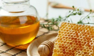 野生蜂蜜怎么保存 野生蜂蜜的储存方法详解