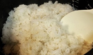 电饭煲焖米饭的做法 电饭煲焖米饭怎么做