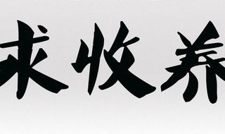 中国如何收养孤儿 过来了解一下