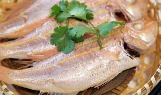 潮州鱼饭的吃法 如何吃潮州鱼饭